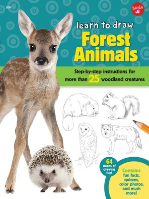 cover image of Learn to Draw Forest Animals